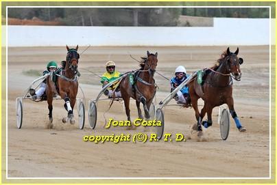 11 05 extraduchatault
